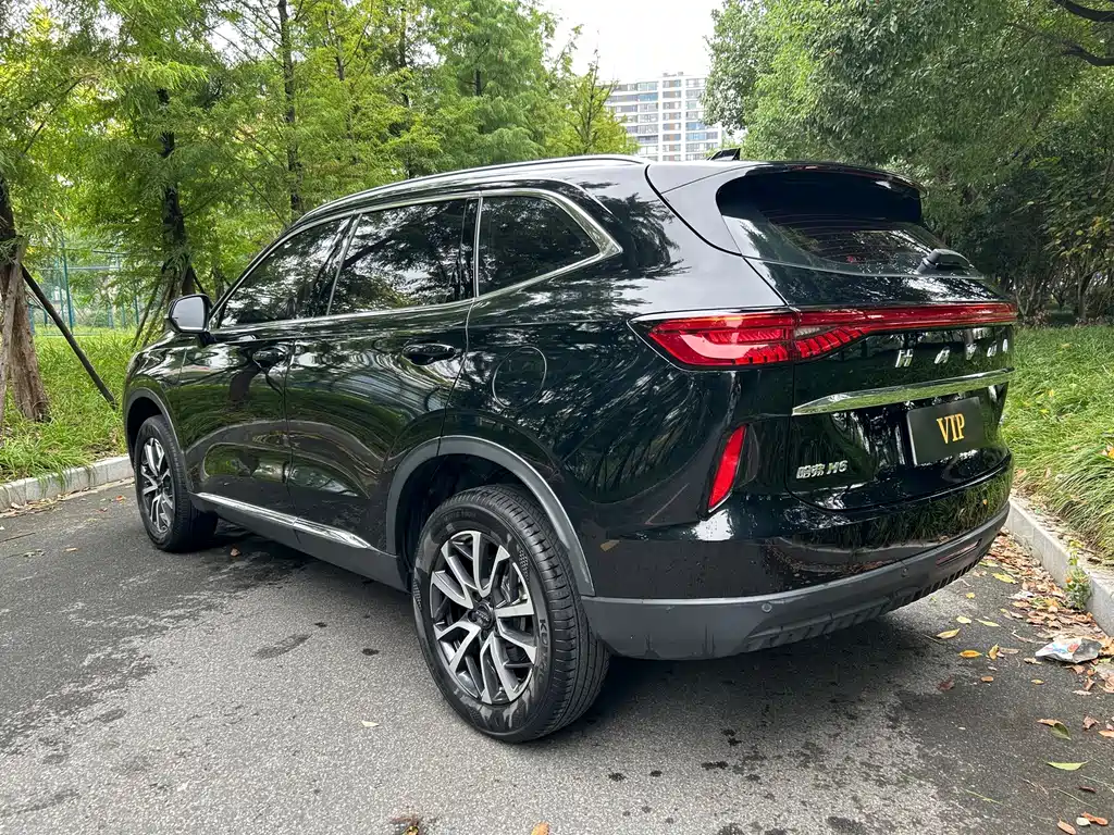 Haval H6 — миниатюра 4