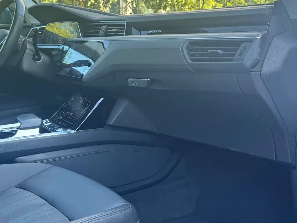 Audi e-tron (Import) — миниатюра 16