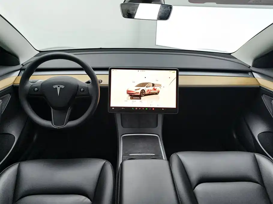 Tesla Model 3 — миниатюра 12