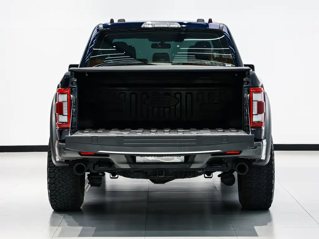 Ford F-150 Raptor — миниатюра 13