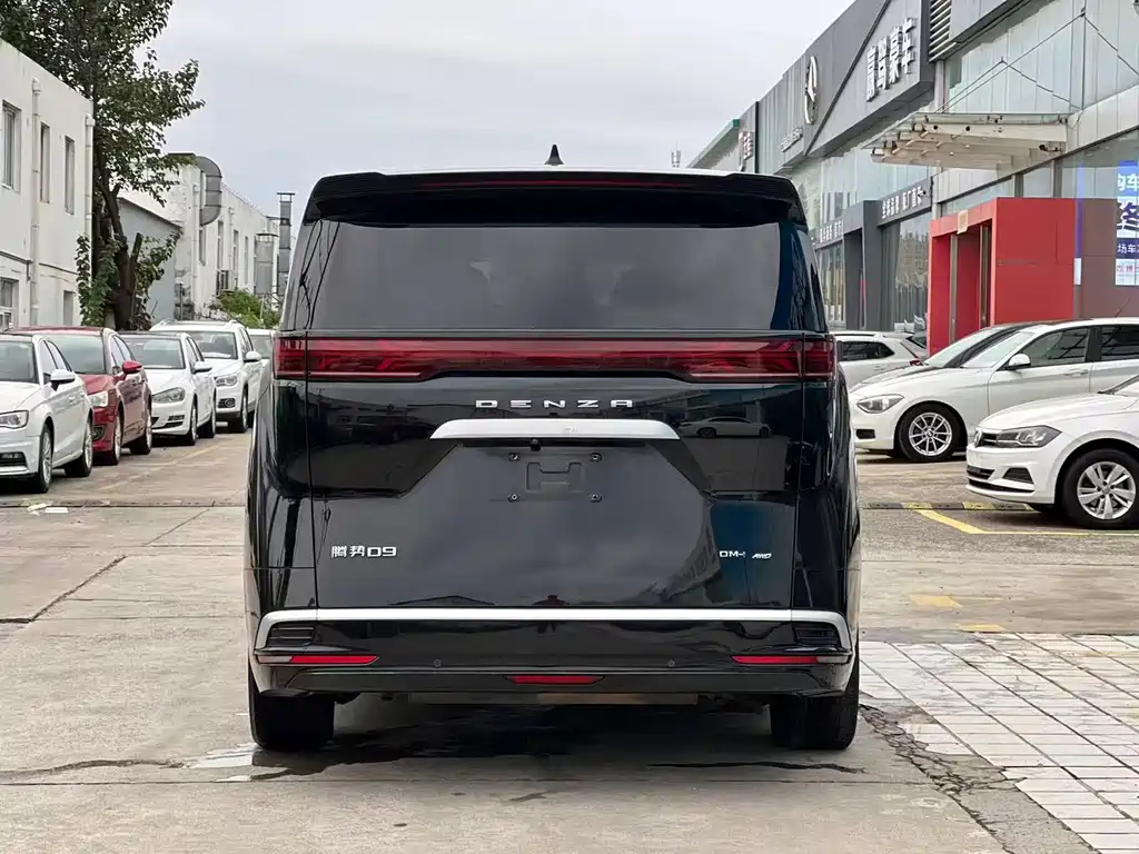 Denza Denza D9 — миниатюра 10