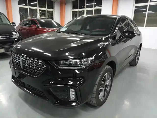 WEI PAI WEI BRAND VV5 2020