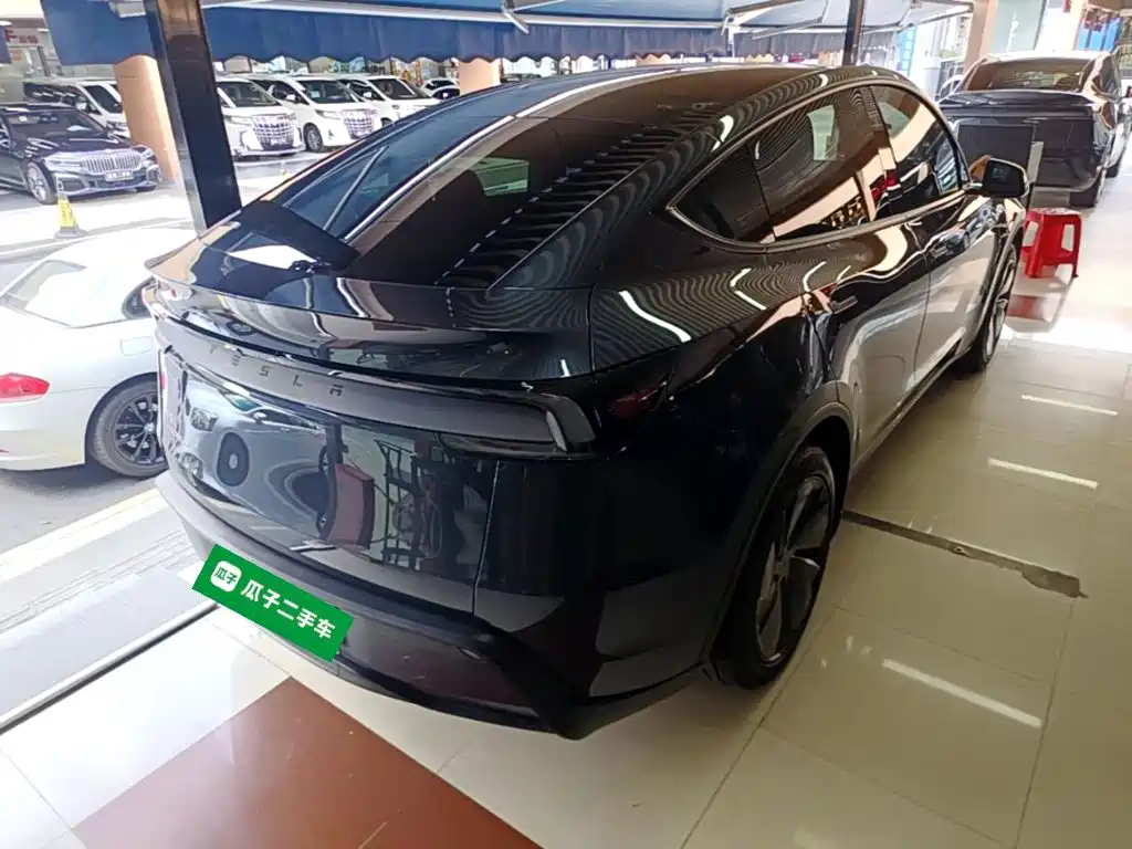 Tesla Model Y — миниатюра 7