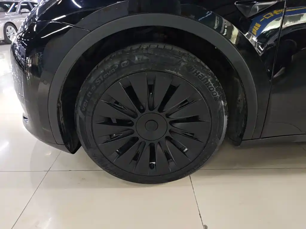 Tesla Model Y — миниатюра 23