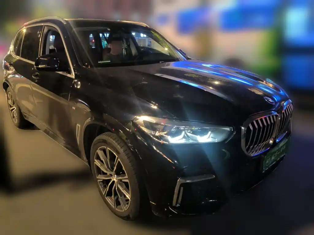 BMW X5 — миниатюра 24