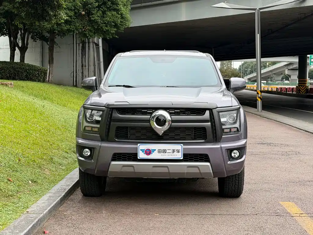 Great Wall King Kong Pao — миниатюра 2