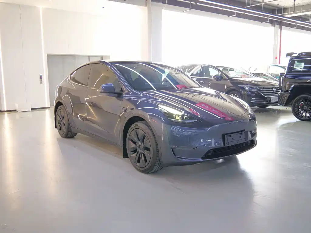Tesla Model Y — миниатюра 4