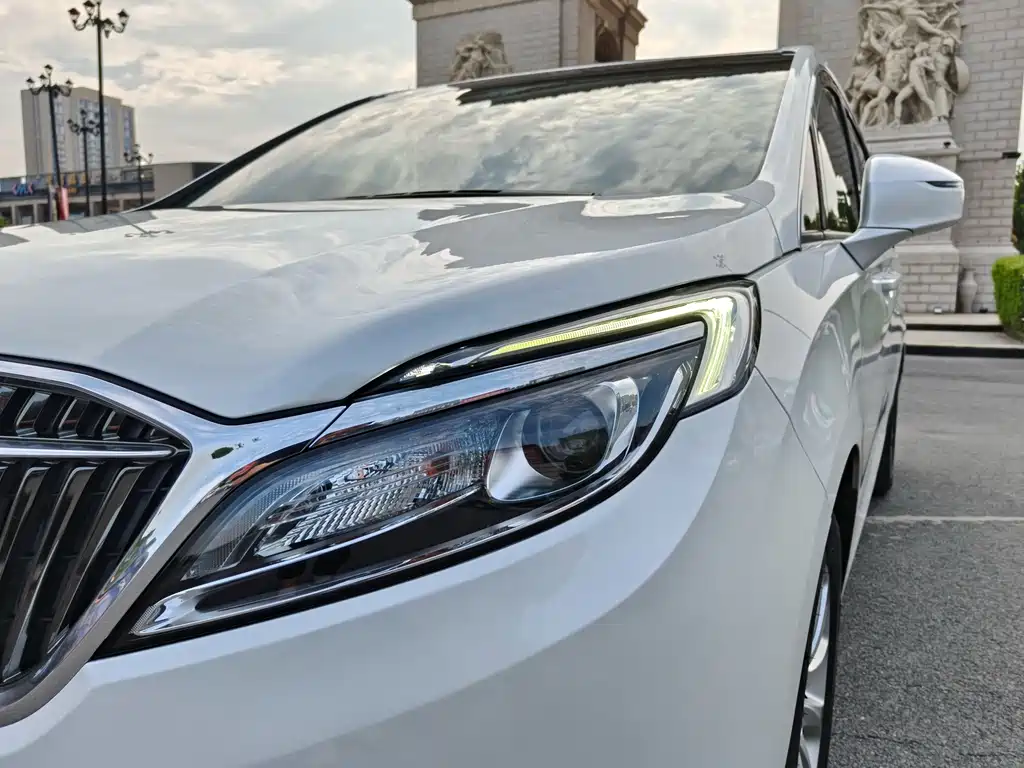 Buick GL8 — миниатюра 8