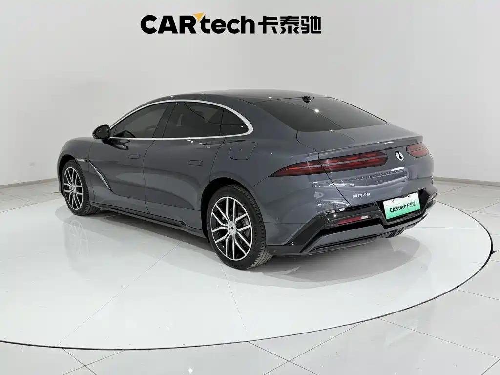 Denza Denza Z9 — миниатюра 7