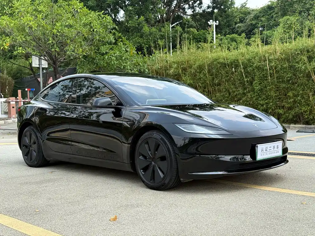Tesla Model 3 — миниатюра 3