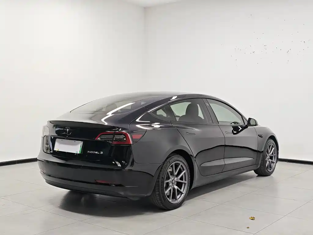 Tesla Model 3 — миниатюра 6