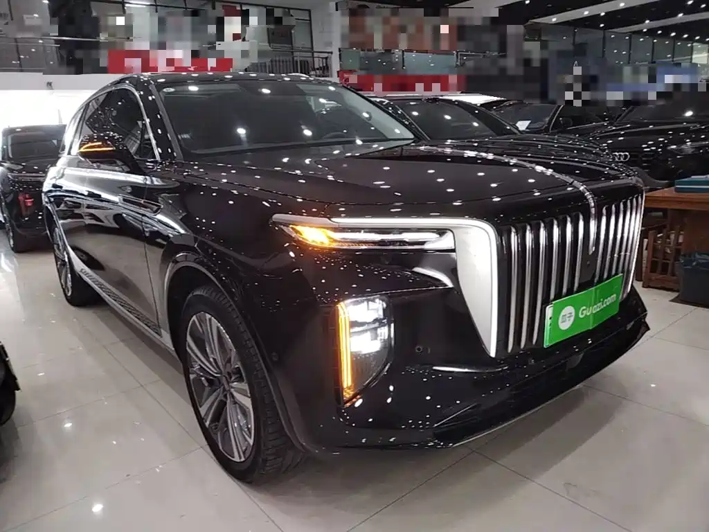 Hongqi Hongqi E-HS9 — миниатюра 4