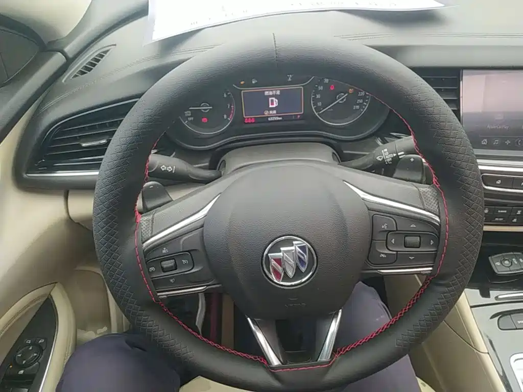 Buick Regal — миниатюра 11