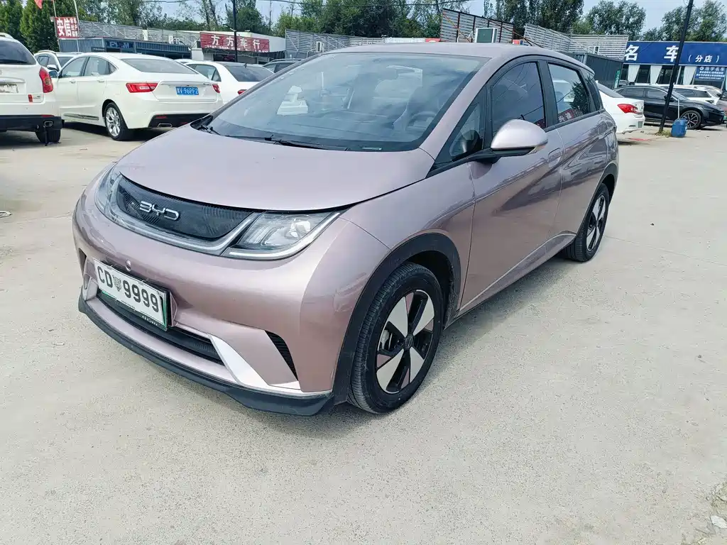 BYD Dolphin — миниатюра 3