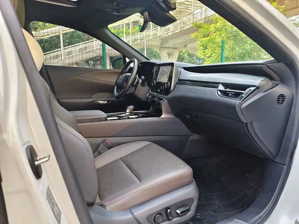Lexus RX New Energy 450h+ 4WD Enjoy Edition, фото 10