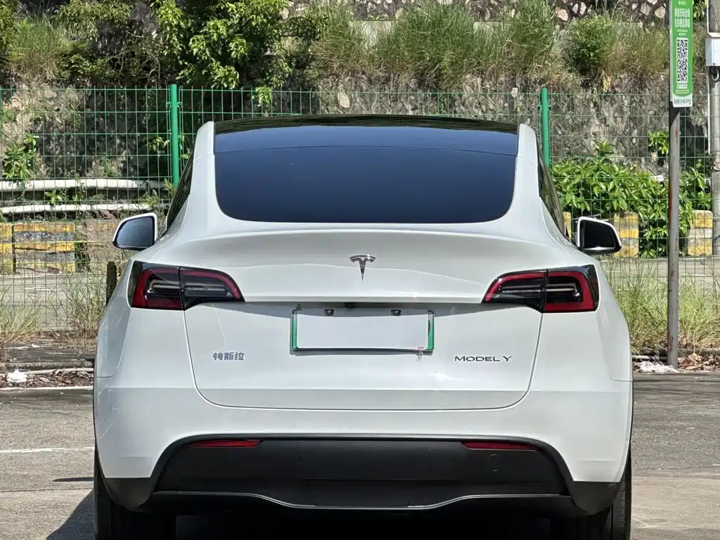 Tesla Model Y — миниатюра 13