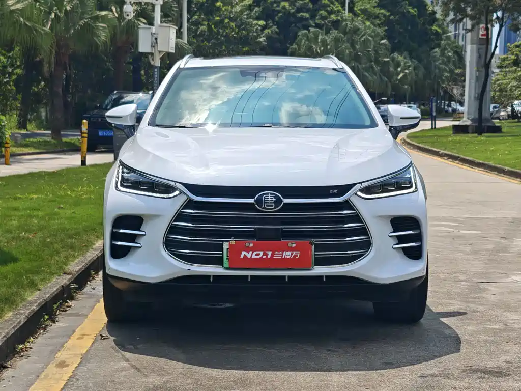 BYD Tang New Energy — миниатюра 2