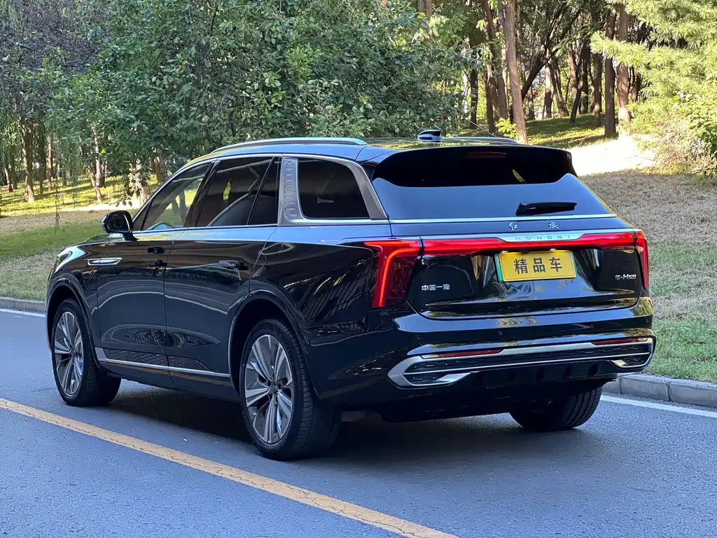 Hongqi Hongqi E-HS9 — миниатюра 5