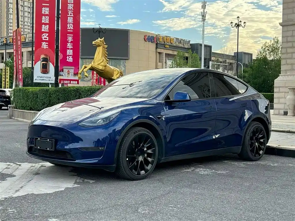 Tesla Model Y 2021 Long Range AWD Edition 3D7