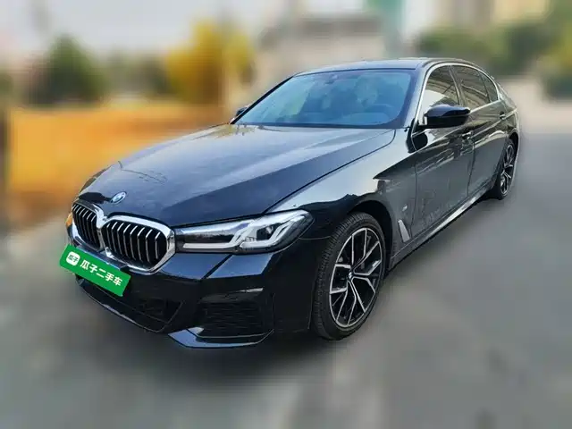 BMW 5 SERIES