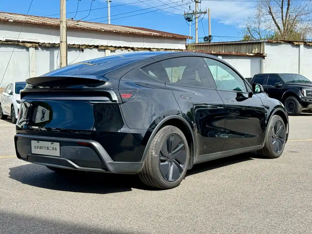 Tesla Model Y — миниатюра 4