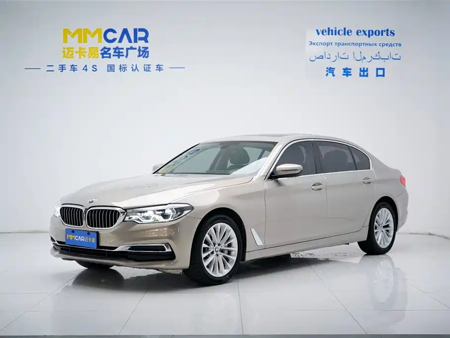 BMW 5 Series 5 2019 530Li Premium Luxury