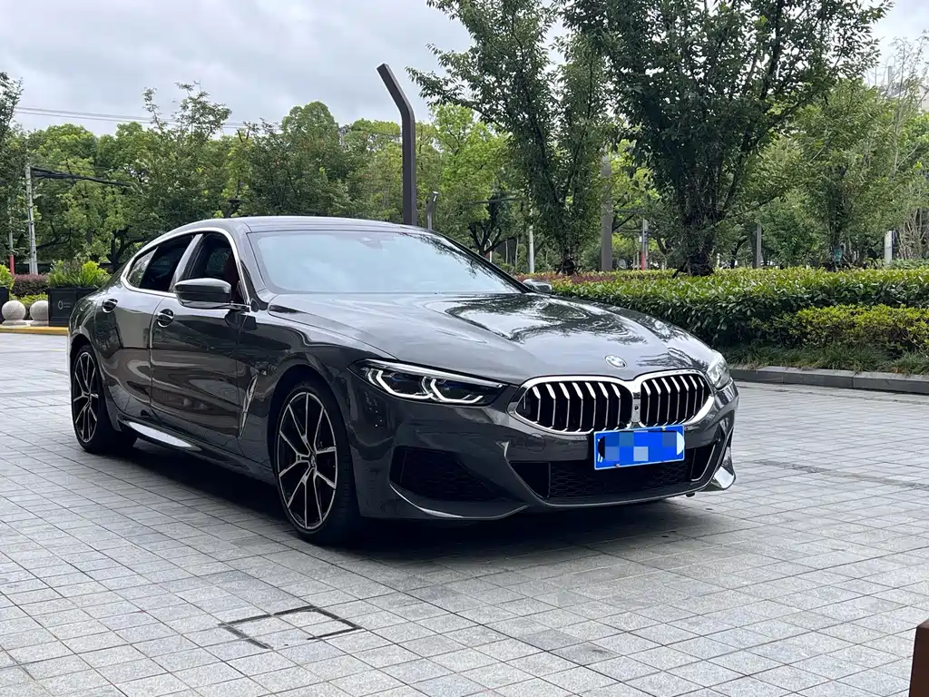 BMW 8 Series — миниатюра 3