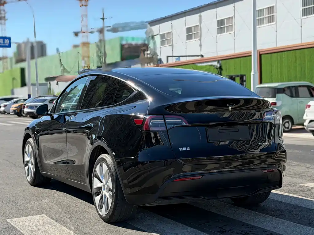 Tesla Model Y — миниатюра 14