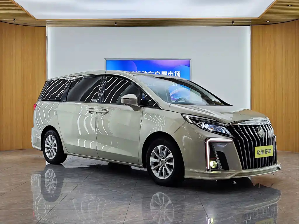 Buick GL8 — миниатюра 3