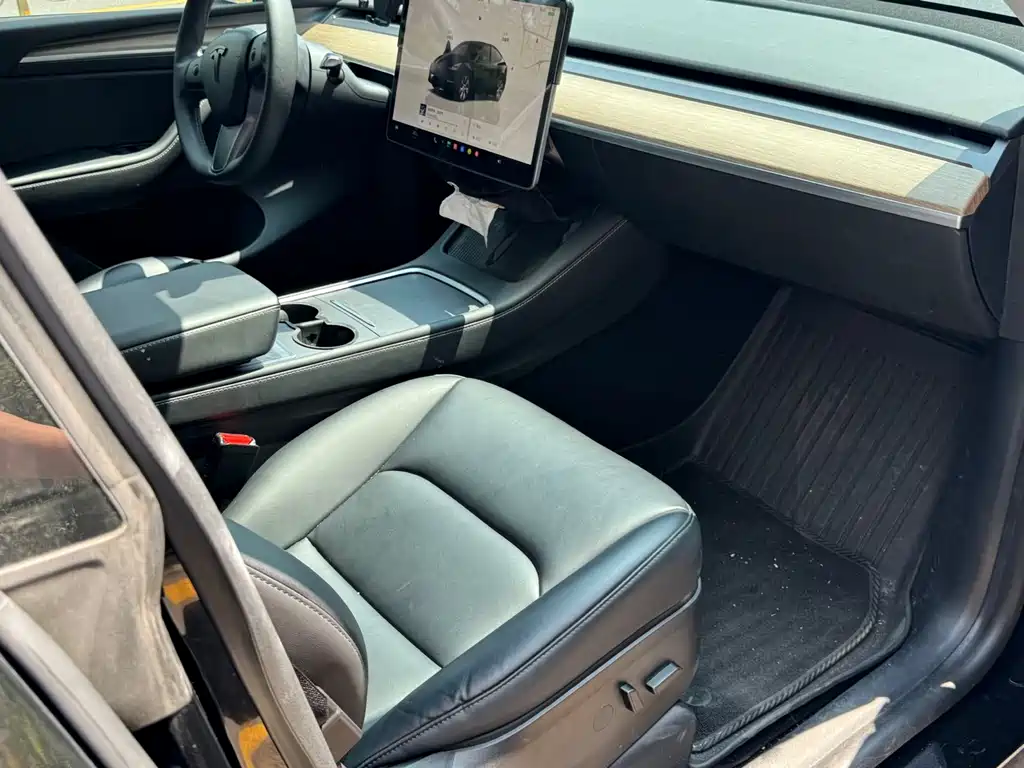 Tesla Model Y — миниатюра 6