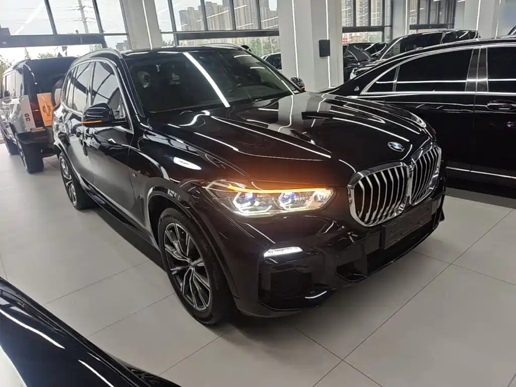 BMW X5 New Energy (Import) — миниатюра 4