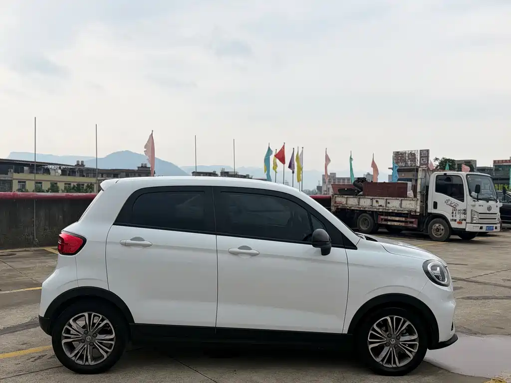 Leapmotor T03 2021 400