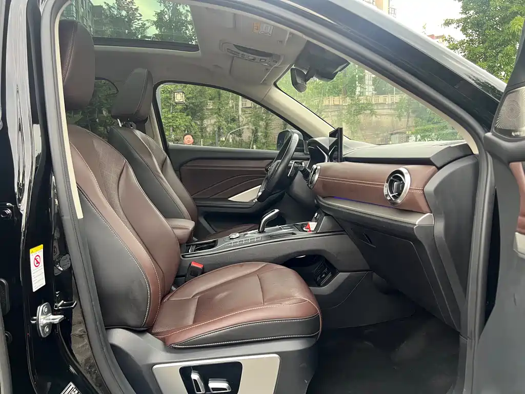 Wey VV6 2.0T 2WD Smart Travel+, фото 9