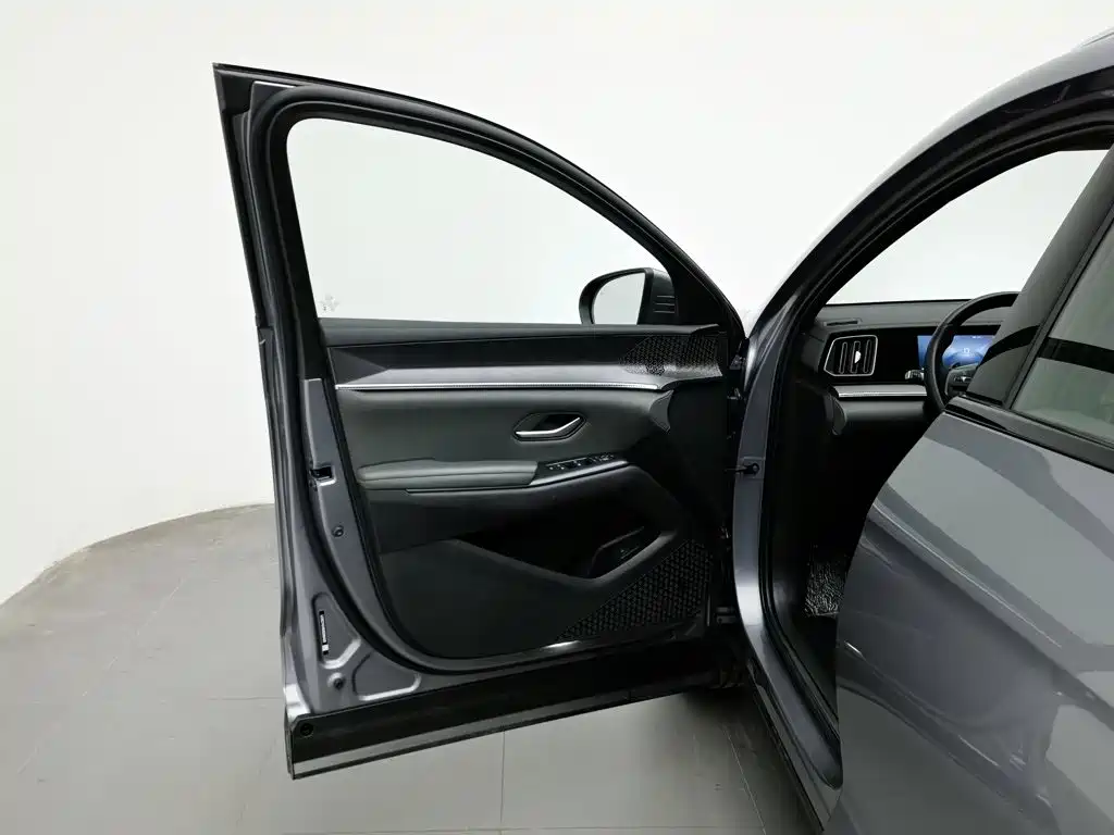 BYD Pro New Energy — миниатюра 8
