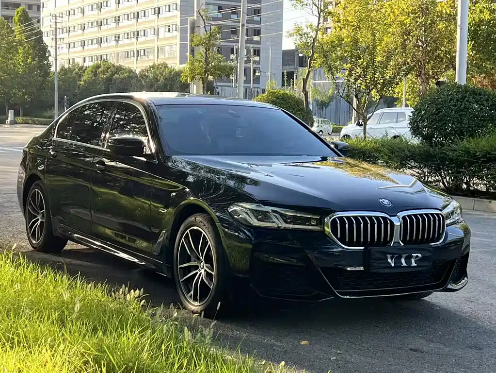 BMW  5 SERIES NEW ENERGY