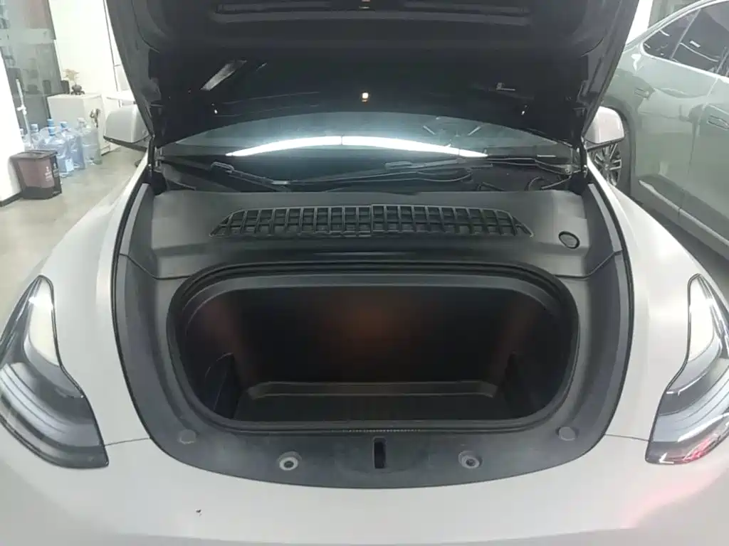 Tesla Model Y — миниатюра 20