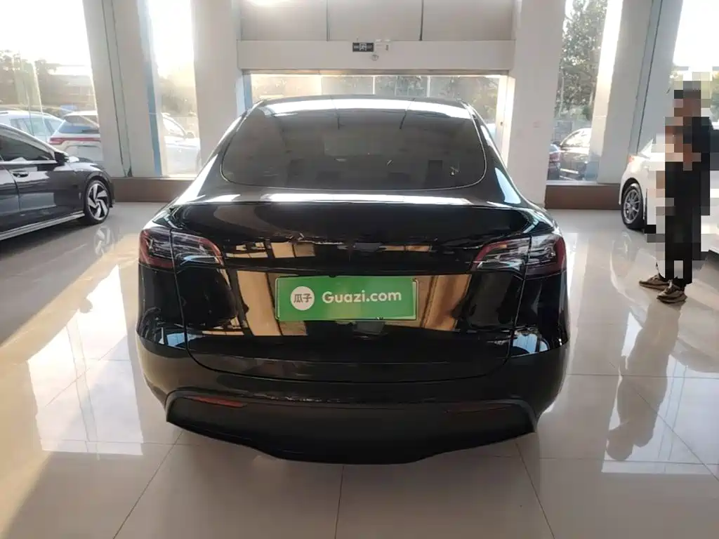 Tesla Model Y — миниатюра 6