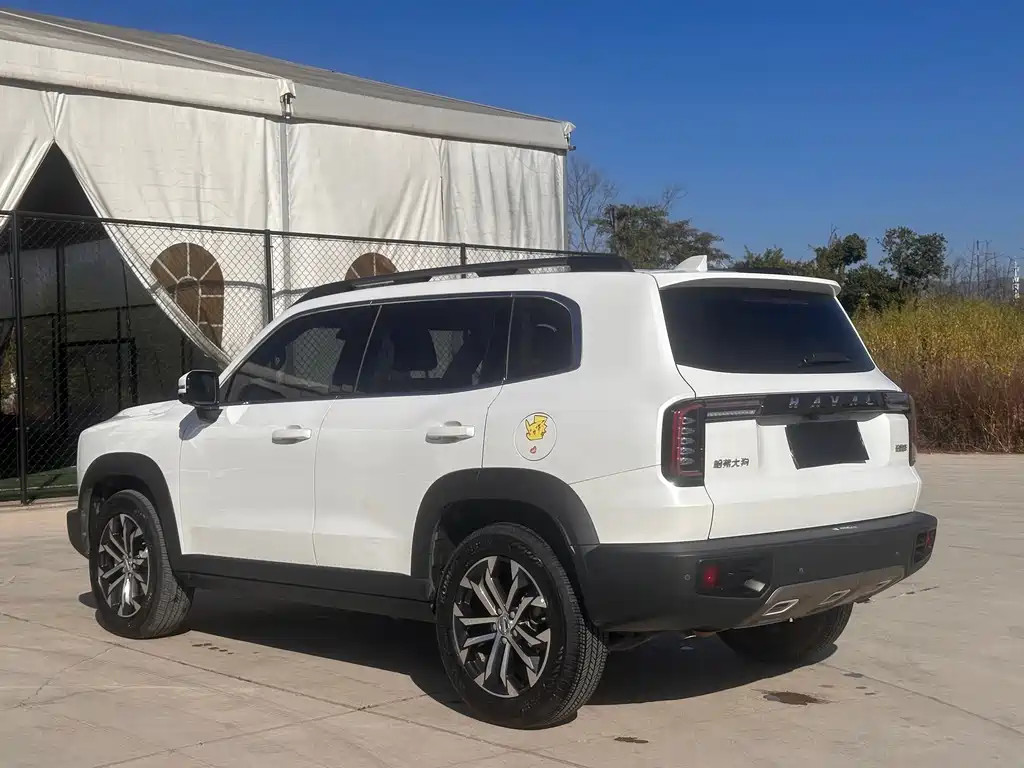 HAVAL BIG DOG