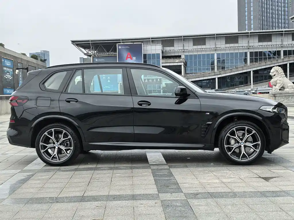 BMW X5 — миниатюра 4