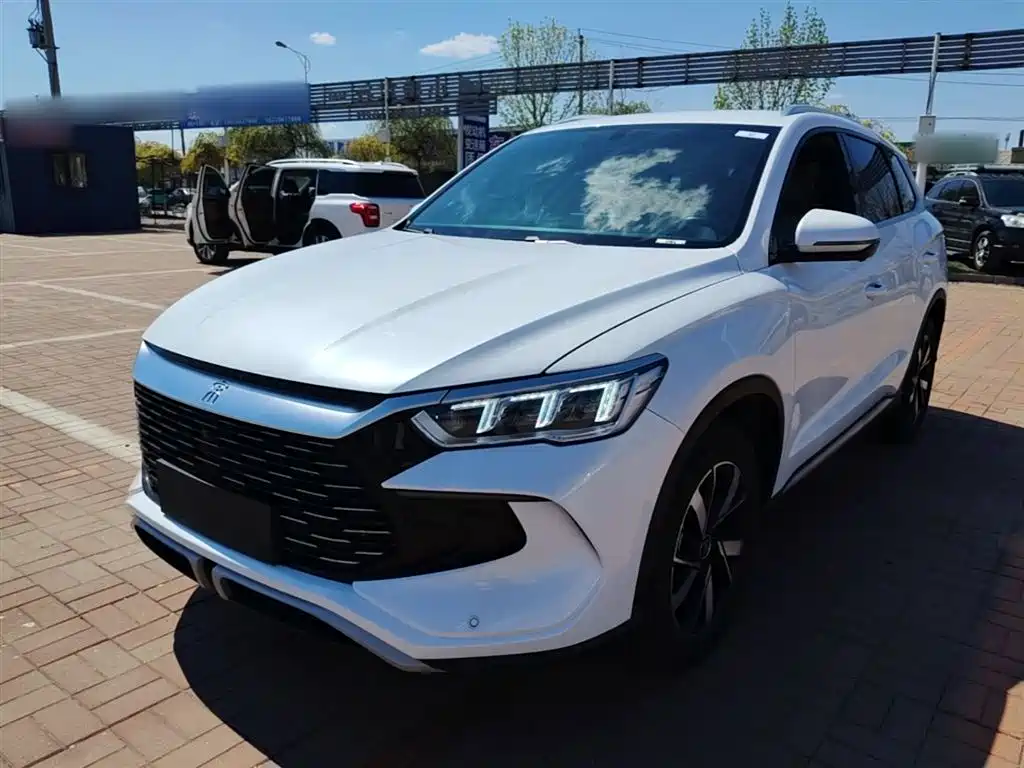 Byd Pro New Energy 2024
