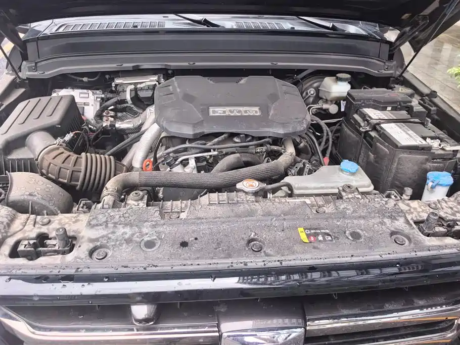 Tank 300 2024 2.0T