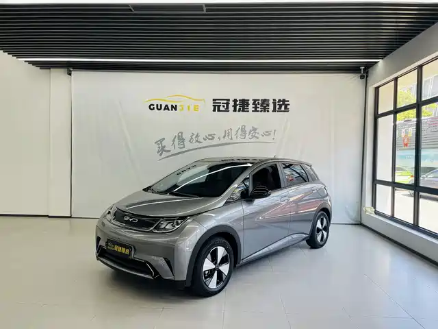 BYD Dolphin