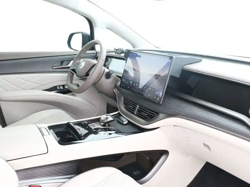 Denza Denza D9 — миниатюра 13