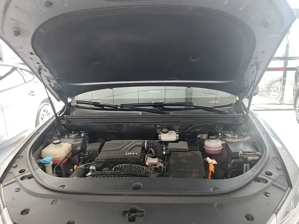 BYD Pro New Energy — миниатюра 20