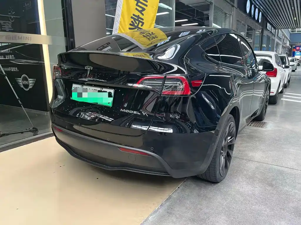 Tesla Model Y — миниатюра 10