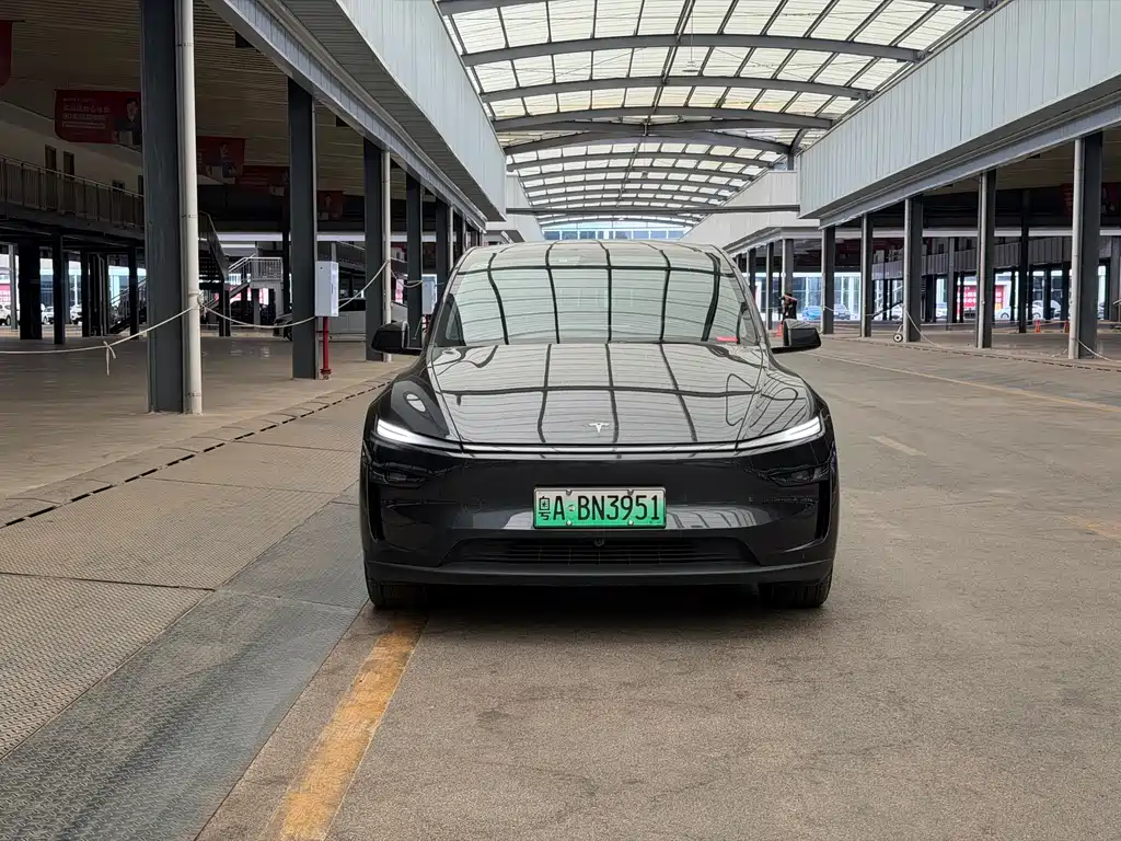 Tesla Model Y — миниатюра 2