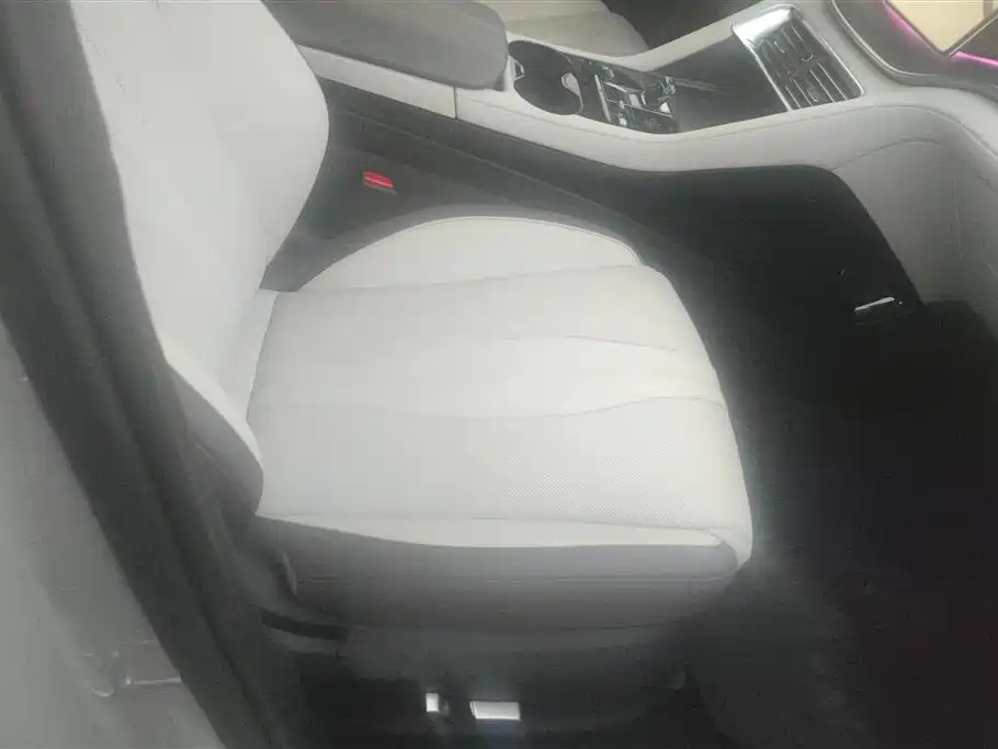 BYD SONGJIANG NEW ENERGY