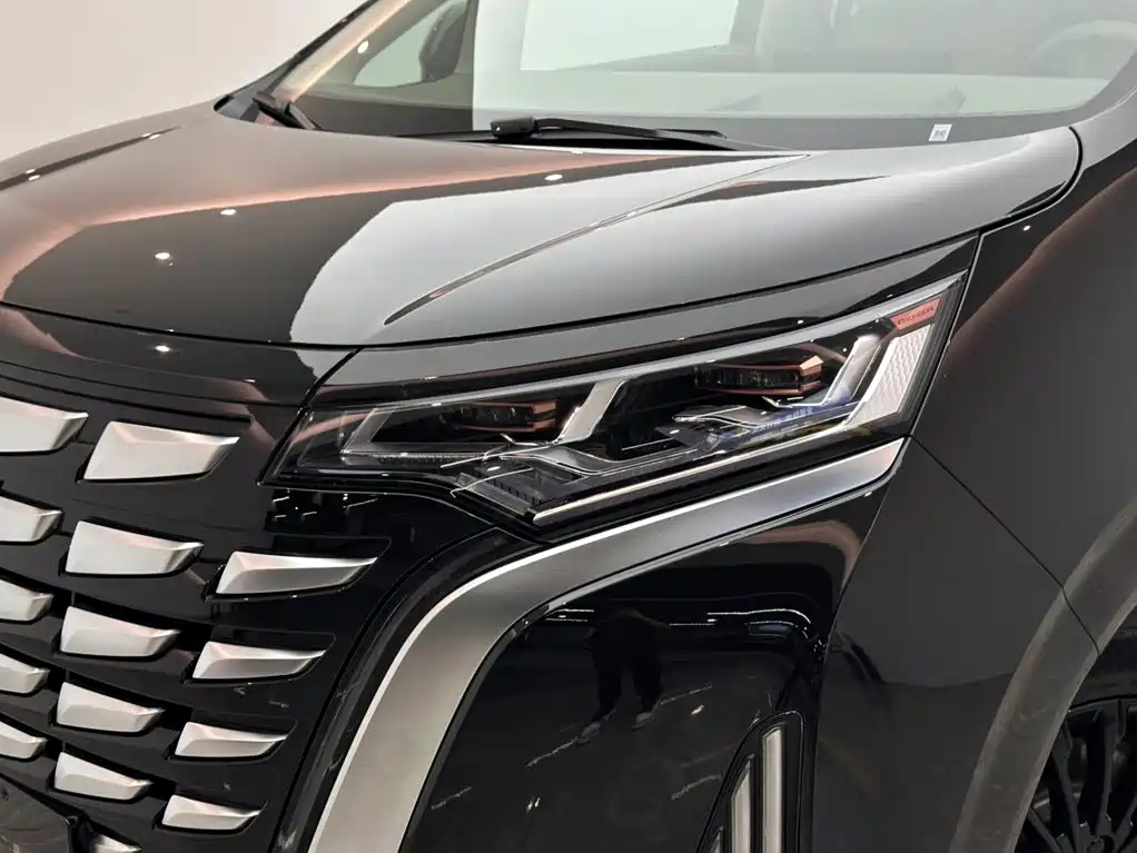 Denza Denza D9 — миниатюра 20