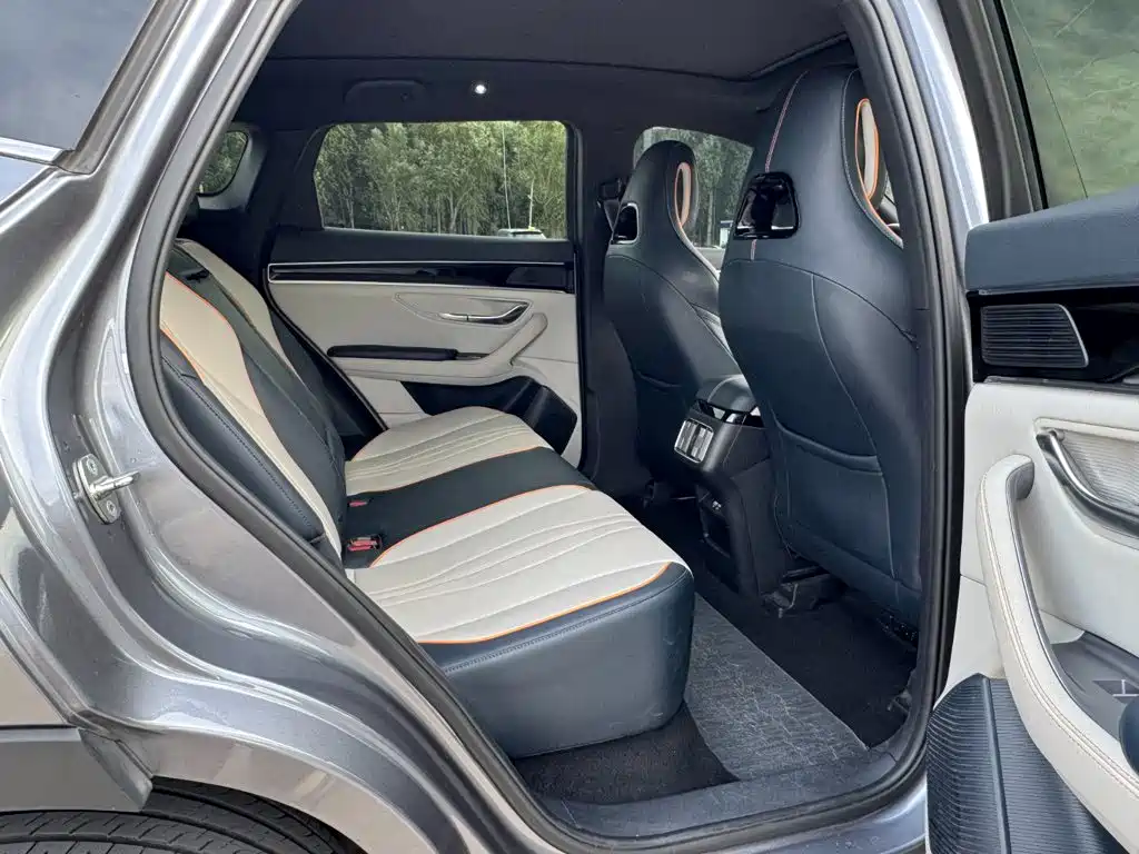 BYD PLUS New Energy — миниатюра 19
