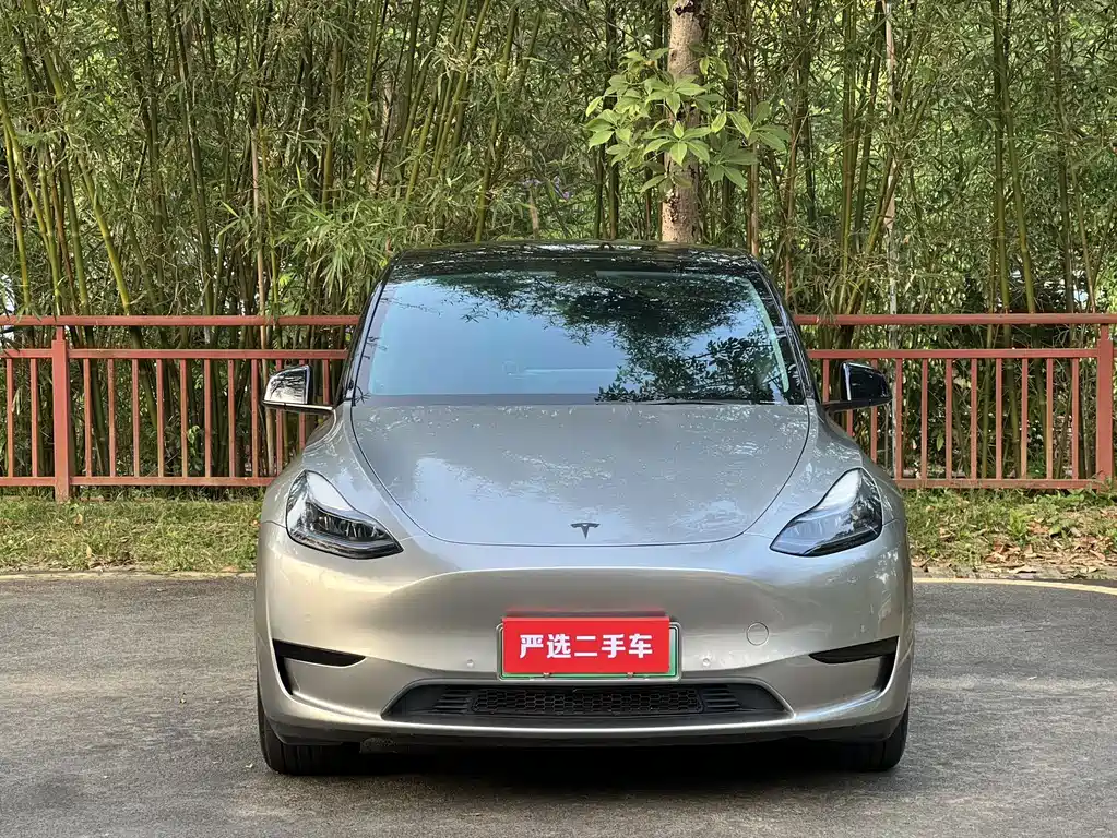 Tesla Model Y — миниатюра 2